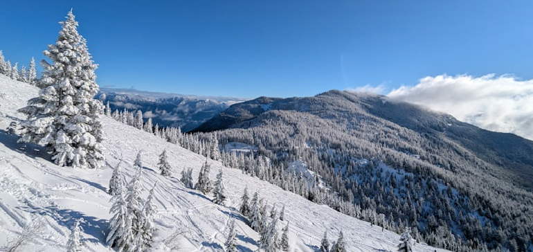  Editorial: “La cuesta de enero”